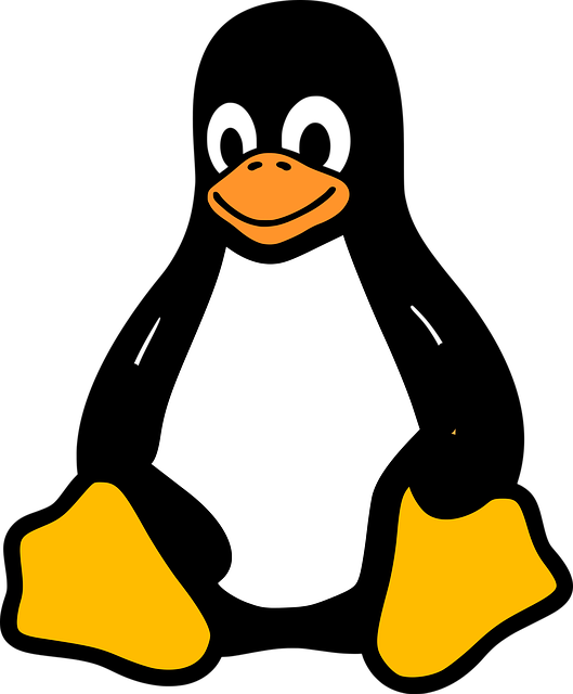 una immagine id un pinguino
